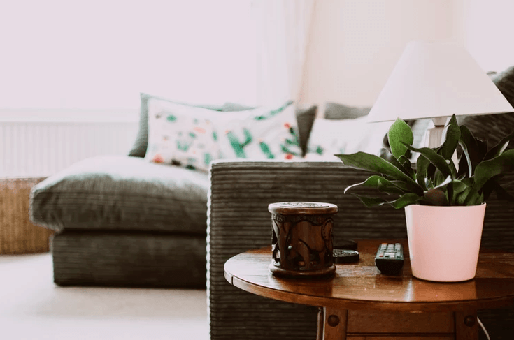 Indoor Air Quality Couch in Home